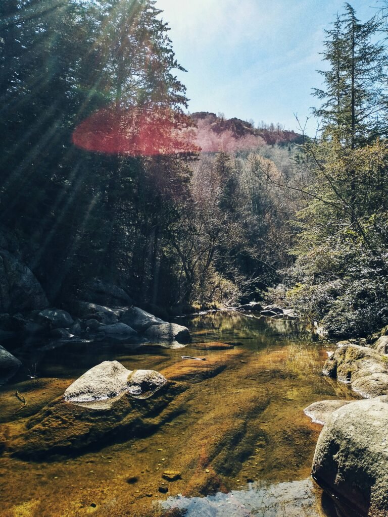 landscape photo of stream